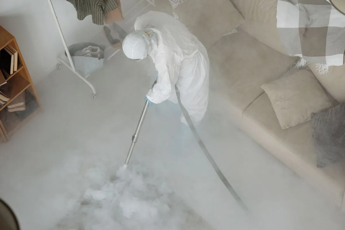 Crime Scene Cleanup in Westwood, Houston, TX